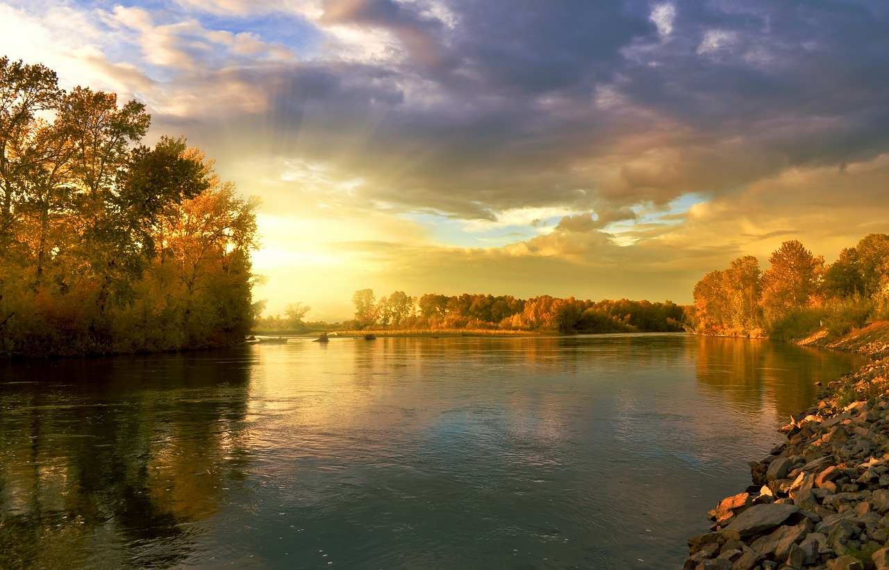 The River