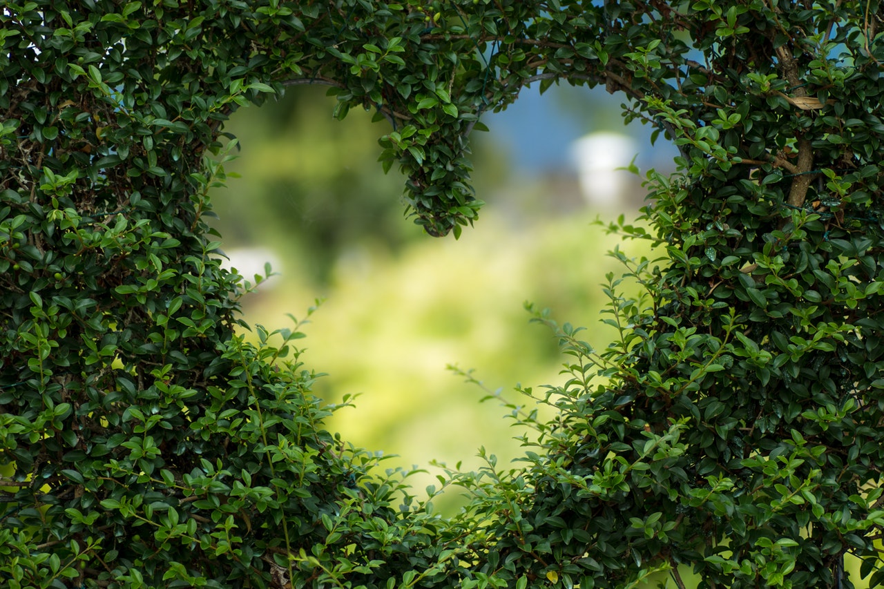 power of love